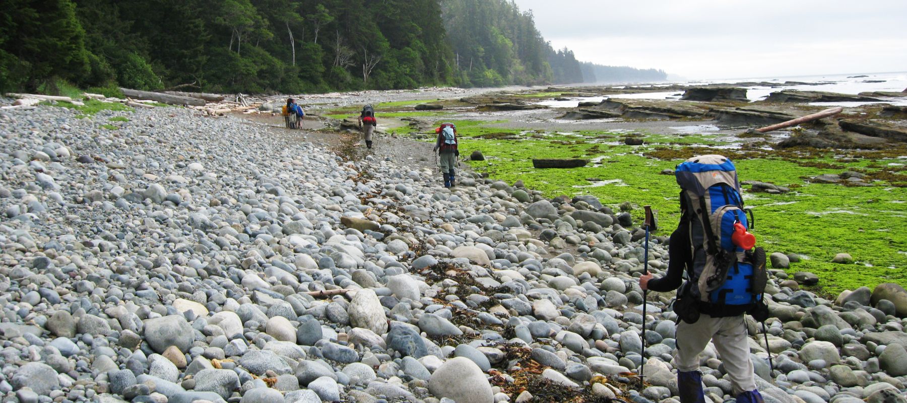 British Columbia Trekking Adventure Hike The West Coast 